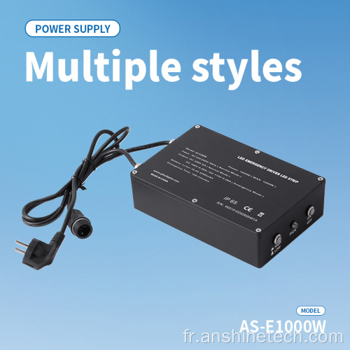 Alimentation de secours LED 1 000 W